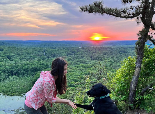 hike with dogs